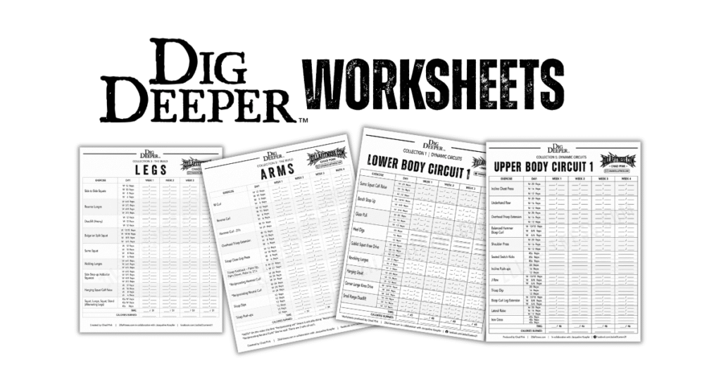 Dig Deeper Worksheets