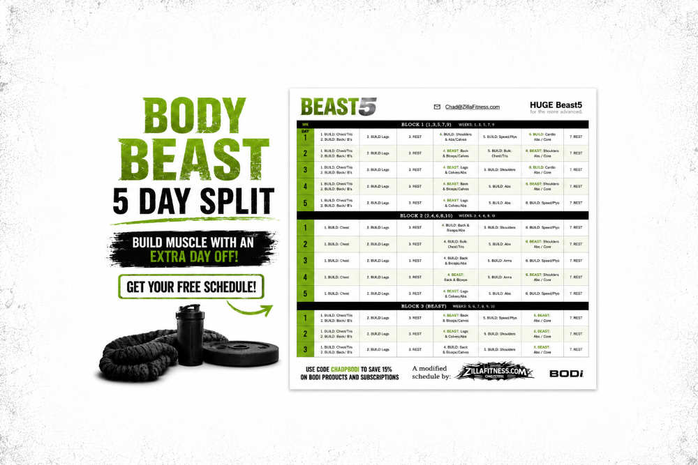 body beast 5 day split